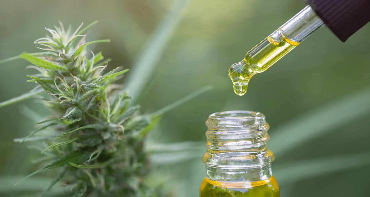 CBD oil being dripped into a bottle next to a cannabis plant.